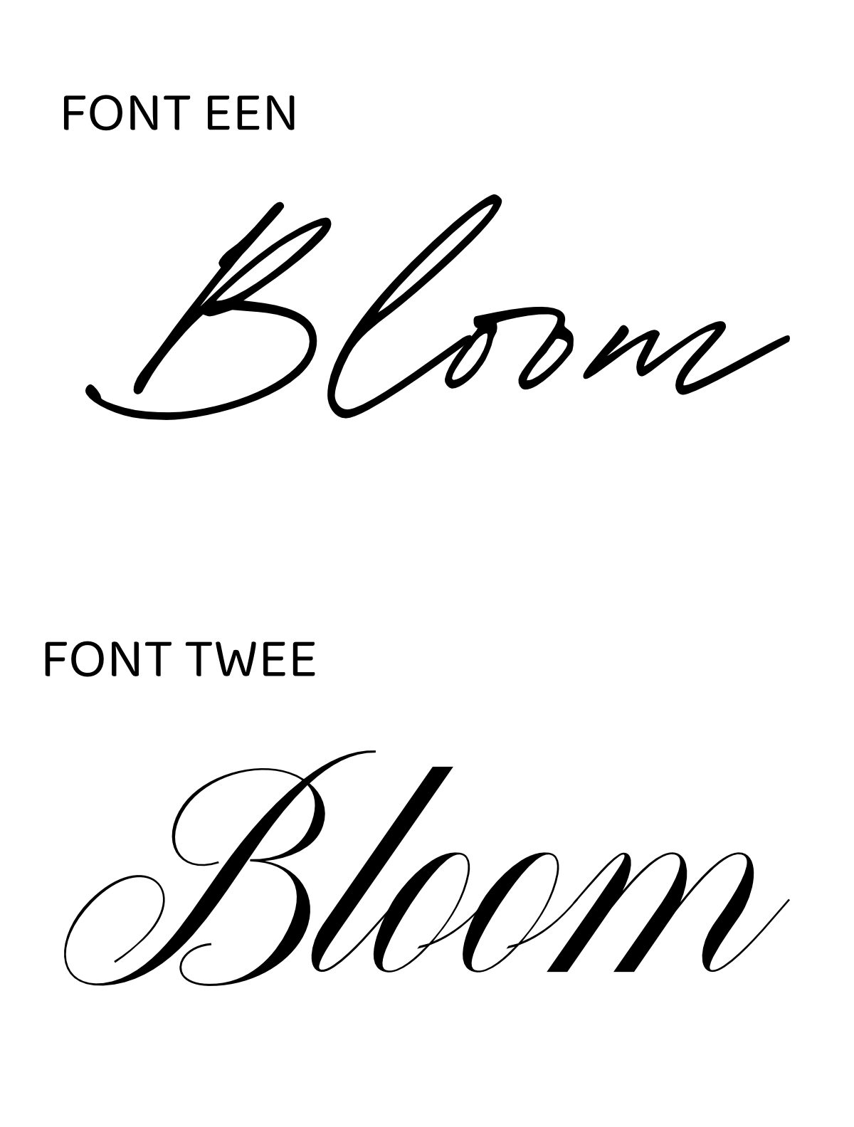 Baby in Bloom (shorter)